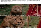 When an intern tries to teach you the new Excel shortcut they just learned @narnia.folk Do not cíte the deep magic tome itch. I was there when it was written.