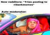 New redditors: Tries posting to rldankmemes* Auto moderator: Who the f--- is yous