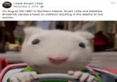 hate Stuart Little December 4, 2018 On August 5th 1987 in Northern Ireland, Stuart Little and Matthew Broderick caused a head on collision resulting in the deaths of two womer