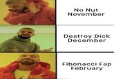 No Nut November Destroy D--- December Fibonacci Fap February