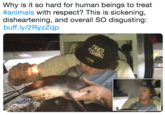 Why is it so hard for human beings to treat #animals with respect? This is sickening, disheartening, and overall SO disgusting: buff.ly/2RyzZqp