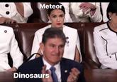 Meteor Dinosaurs