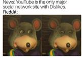 News: YouTube is the only major social network site with Dislikes. Reddit: