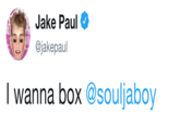 . Jake Paul jakepaul I wanna box @souljaboy