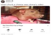 serena @4ngelmud when chuck e cheese sees shane's video Rat Clenches Fist of Rage 26K views 2K 13 Share Add to 7:02 PM 11 Feb 2019