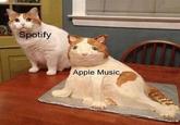 Spotify Apple Music