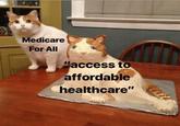Medicare For All access to affordable healthcare"