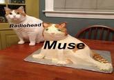 Radiohead Muse
