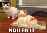 NAILED IT
