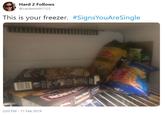 Hard 2 Follows @carriesmith1123 This is your freezer. #SignsYouAreSingle AK 2:03 PM 11 Feb 2019