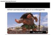 Heated Gaming Moment When someone kill you in a videogame What can.I say except the n word?