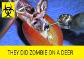 THEY DID ZOMBIE ON A DEER