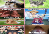 ou say Gat We say Neko You say Stupid We say Baka You say Kid We sayLOI luli You say Cartoon HAMSTER