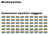 Everyone: Comment section n-----: CH gOoble.shnubgoK