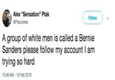 Alex "Sensation" Ptak @PtakJokes Follow A group of white men is called a Bernie Sanders please follow my account l am trying so hard 10:46 AM-19 Feb 2019