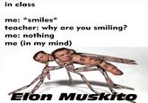 Y’all see Elon Musk gunna do a meme review? in class me: *smiles* teacher: why are you smiling? me: nothing me (in my mind) on Muskito