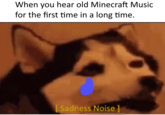 When you hear old Minecraft Music for the first time in a long time. Sadness Noise