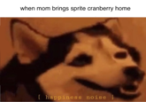 when mom brings sprite cranberry home [ happiness noise]
