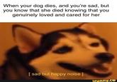 When your dog dies, and you're sad, but you know that she died knowing that you genuinely loved and cared for her I sad but happy noise ] ifunny.ce