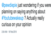 @pewdiepie just wondering if you were planning on saying anything about #Youtubewakeup ? Actually really curious on your opinion 2:34 AM-18 Feb 2019