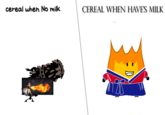 CEREAL WHEN HAVE'S MILK