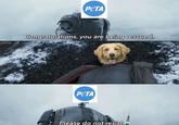 PeTA Congratulations, you are beingt rescuea PETA Please do not resist