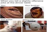 hen you tell a slightly offensive joke at the dinner table You: Your brother: The guest: Sphere Cow: