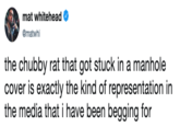 mat whitehead @matwhi the chubby rat that got stuck in a manhole cover is exactly the kind of representation in the media that i have been begging for