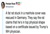 Persian Rose @PersianRose1 A fat rat stuck in a manhole cover was rescued in Germany. They say the rat claims that he's in top physical shape based on a certificate issued by Trump's WH physician.