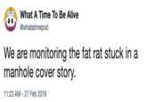 What A Time To Be Alive @whatatimepod We are monitoring the fat rat stuck in a manhole cover story. 11:23 AM - 27 Feb 2019