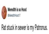 Meredith is so Hood @MeredithHood17 Rat stuck in sewer is my Patronus