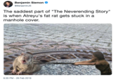 Benjamin Siemon @BenjaminJS The saddest part of "The Neverending Story" is when Atreyu's fat rat gets stuck in a manhole cover. 6:35 PM - 26 Feb 2019