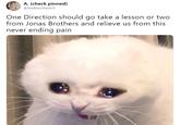 A. (check pinned) @NiallAesthetic9 One Direction should go take a lesson or two from Jonas Brothers and relieve us from this never ending pain