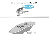 Steve Irwin did nothing wrong >:(