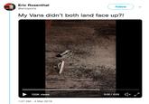 Eric Rosenthal @ericsports Follow My Vans didn't both land face up?! 120K views 0:02/0:03 1:27 AM -4 Mar 2019