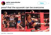 señor peanutbutter @bernardoooj Follow proof that the ayuwoki can be overcome 3:44 PM-4 Mar 2019