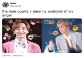hana @jeonghnas the rose quartz + serenity anatomy of an angel Chestnut heart-haro undur bangs9oiden h hair ears From honey Fa(t aSter e Quart 1:39 PM - 12 Feb 2019