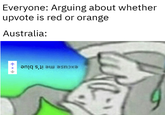 Everyone: Arguing about whether upvote is red or orange Australia: