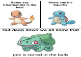 Some say Charmander is the best Some say it's Squirtle But deep down we all know that pee is stored in the balls