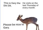 This is Gary the Dik Dik. He visits on the last Thursday of every month. Please be nice to Gary