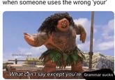 when someone uses the wrong your @the.fedora.guy What can I say except you're Grammar sucks