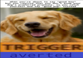 when you're about to say "good boy" but you realize that you don't know your dog's preferred pronouns, so you catch yourself and say "good pup" instead TRIGGER averted