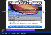 they did surgery on a grape