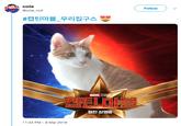 cola @cola_null Follow ) #캡틴마블-우리집구스 MARVEL S '캐티 마브 절찬 상영중 11:43 PM-8 Mar 2019