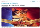 서율 @marron_dlnde Follow #캡틴마블 우리집구스 우리 보리 최고야 귀여워 완벽해! Translate Tweet MARVEL STUD 캡틴마블 절찬 상영중 1:51 AM - 9 Mar 2019