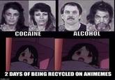 COCAINE ALCOHOL 2 DAYS OF BEING RECYCLED ON ANIMEMES imgflip.comm