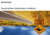 Nobody: Australian dashcam videos: