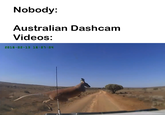 Nobody: Australian Dashcam Videos: 2D16-De-13 16:07/DY