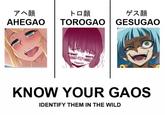 ゲス顔 トロ顔 AHEGAO TOROGAOGESUGAO アヘ顔 ulな KNOW YOUR GAOS IDENTIFY THEM IN THE WILD