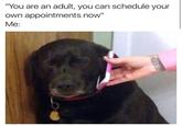 "You are an adult, you can schedule your own appointments now" Me